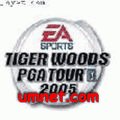 game pic for 3D Tiger Woods 2006